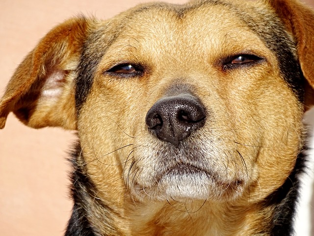 睡眠の質を上げる｜スタンフォード式【最高の睡眠】を実践してみた